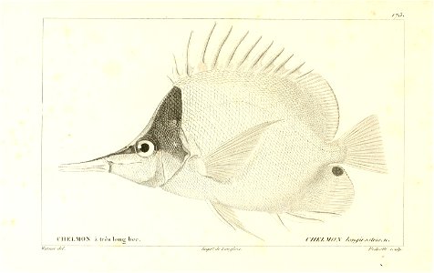 n42_w1150