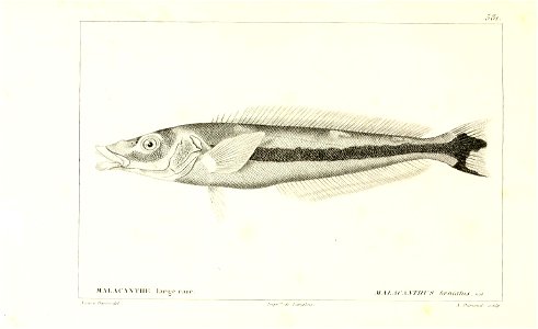 n94_w1150
