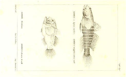 n34_w1150