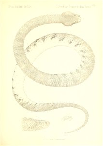 n534_w1150
