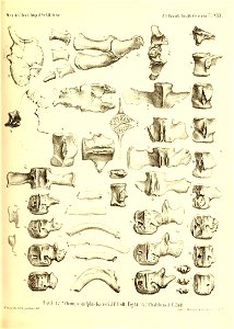 n452_w1150