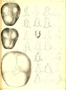 n892_w1150