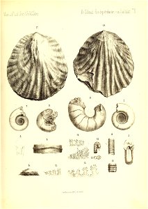 n370_w1150