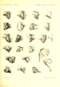n388_w1150