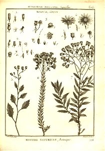 n179_w1150