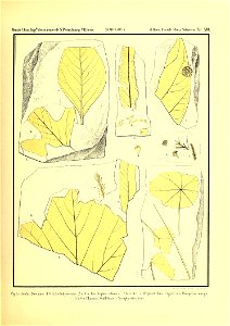 n282_w1150