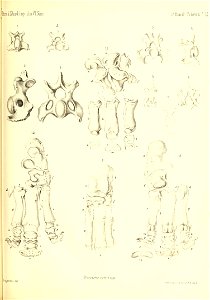 n552_w1150