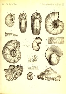 n368_w1150