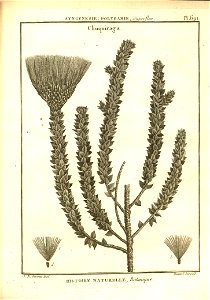 n194_w1150