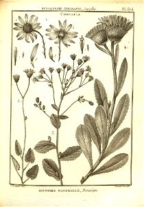 n178_w1150
