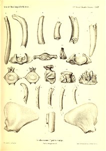 n418_w1150