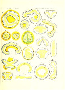 n252_w1150
