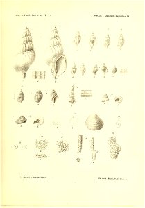 n192_w1150