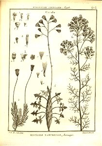n176_w1150