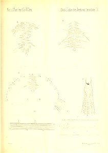 n812_w1150