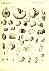n190_w1150