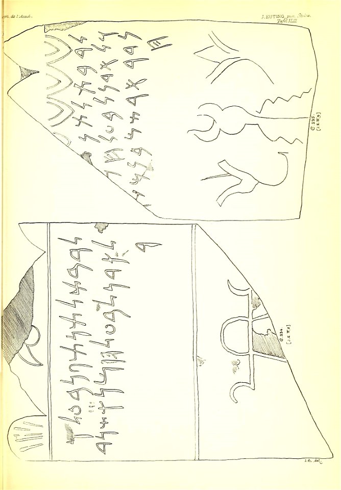 n358_w1150