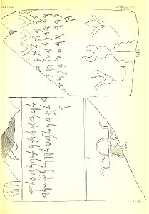 n358_w1150