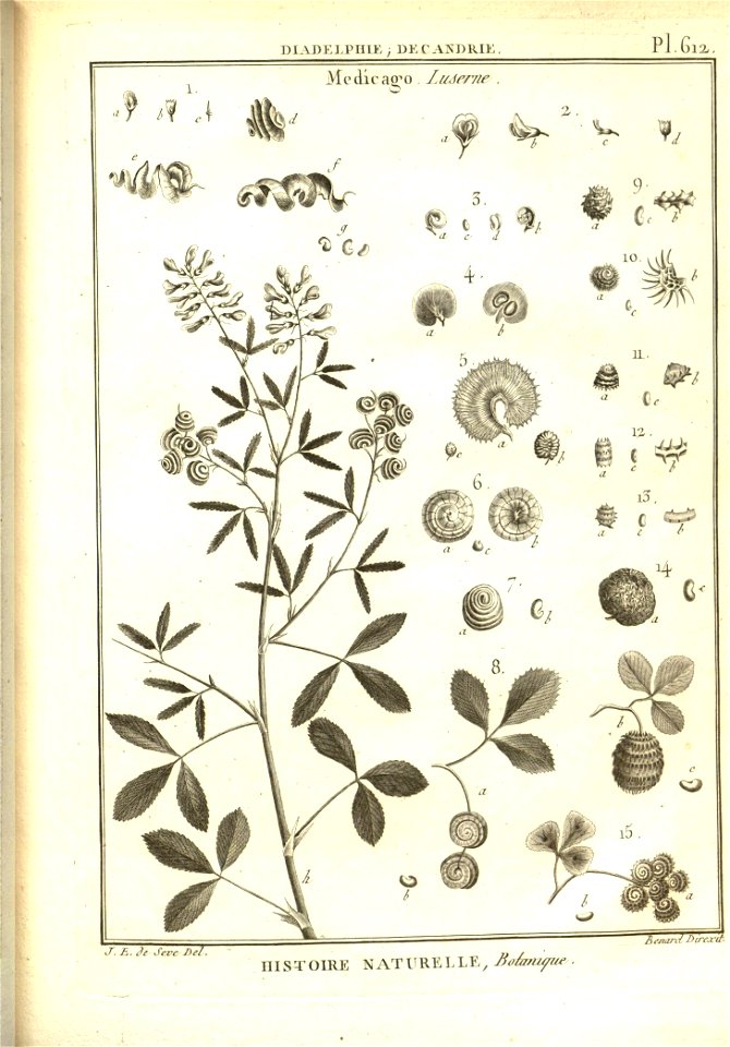 n115_w1150