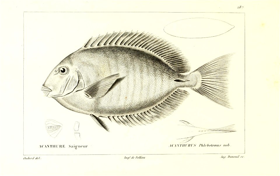 n256_w1150