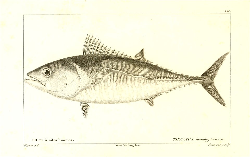 n114_w1150