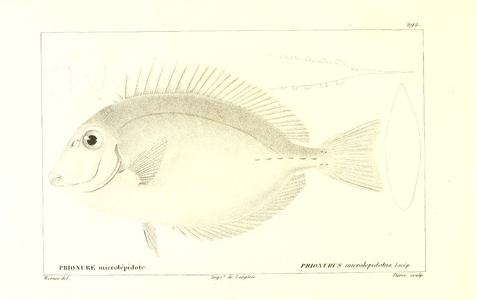 n266_w1150