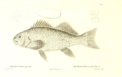 n170_w1150