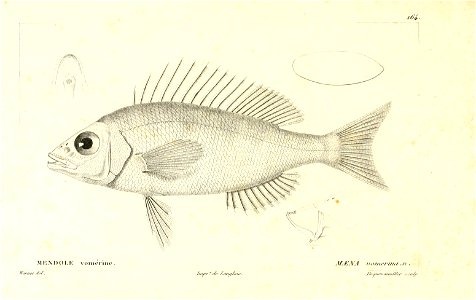 n18_w1150