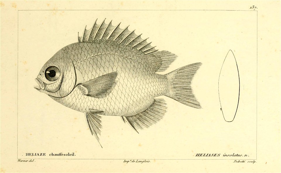 n254_w1150
