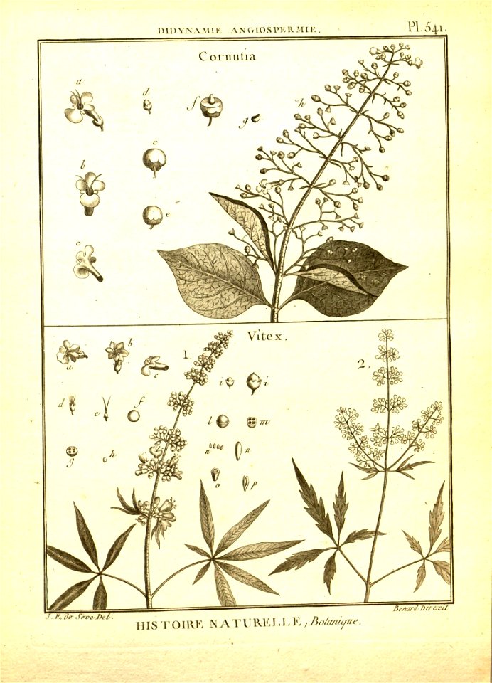 n43_w1150