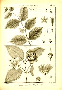 n158_w1150
