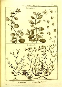 n127_w1150