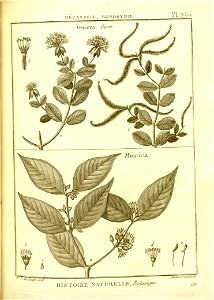 n112_w1150