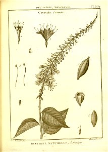n111_w1150