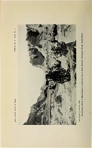 n21_w1150