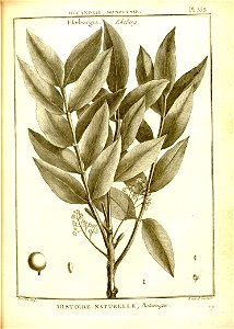 n110_w1150