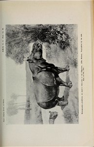 n162_w1150