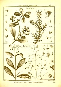 n154_w1150