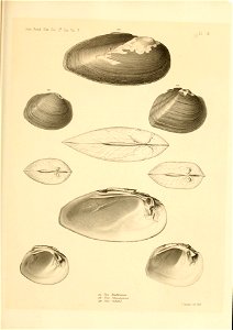 n502_w1150
