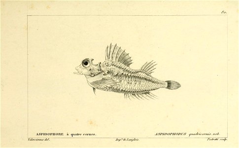 n140_w1150