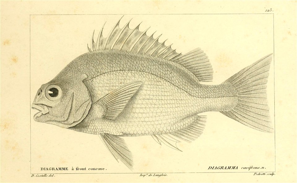 n226_w1150