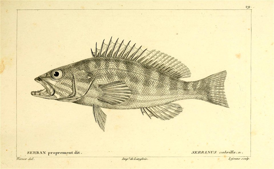 n44_w1150