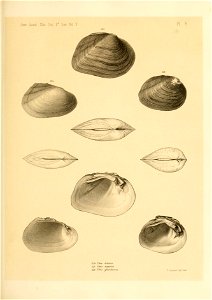 n492_w1150
