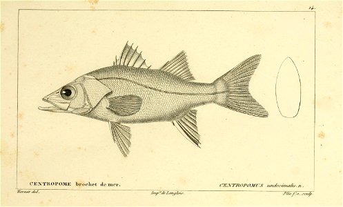 n14_w1150