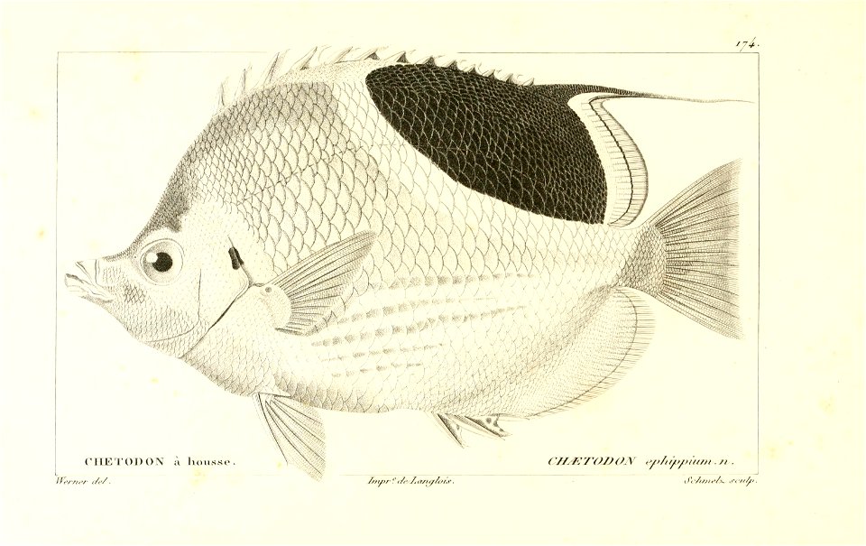 n40_w1150