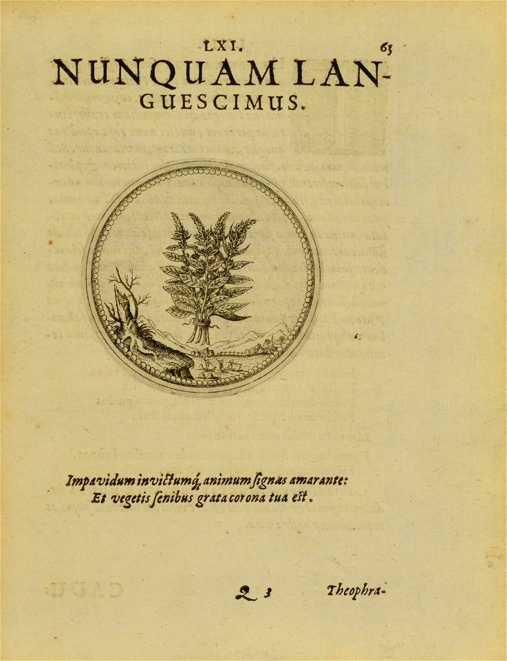 n142_w1150
