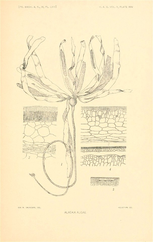 n304_w1150