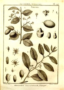 n49_w1150