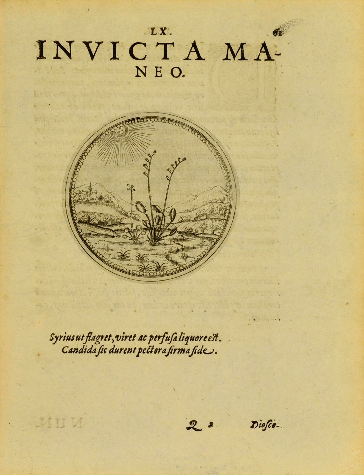 n140_w1150