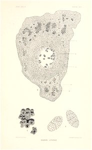 n178_w1150